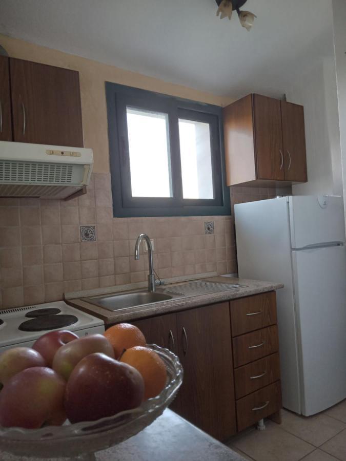 The White Rabbit Guesthouse Eco-Lodge "Cosy Apartment" Psakoúdia Eksteriør bilde